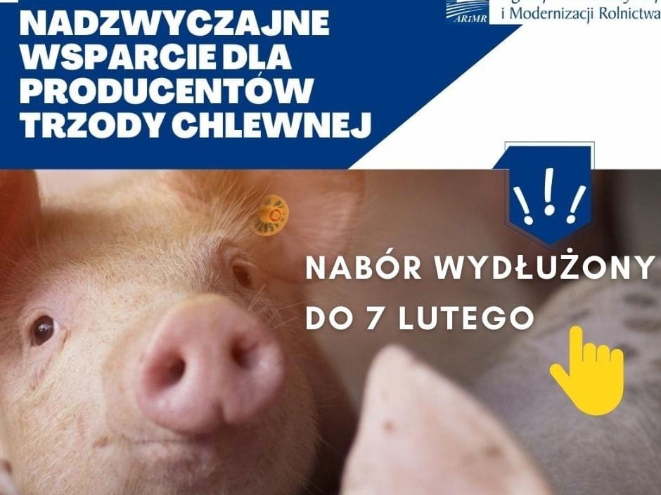 Plakat informacyjny. Jego treść jest zawarta w artykule