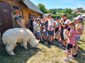 Na zdjęciu grupa dzieci biorących udział w zajęciach