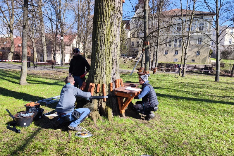 Pracownicy montujący elementy parku linowego