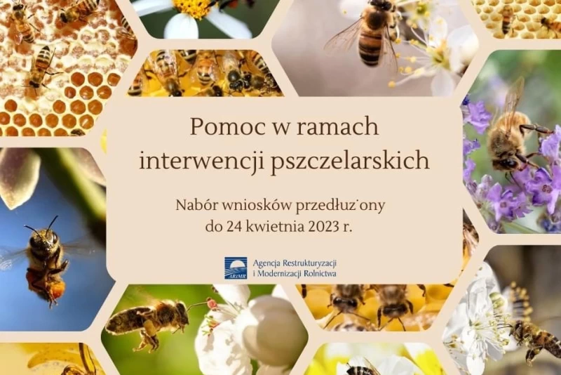 Plakat informacyjny. Jego treść jest zamieszczona w artykule