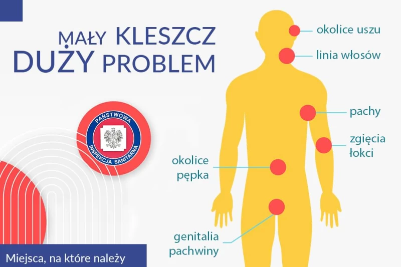 Infografika przesłana przez Państwową Powiatową Stację Sanitarno-Epidemiologiczną w Tucholi